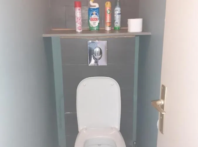 דירה Barbotan Moderne & Contemporain Ideal Soiree, Week End, Cure Thermale, Vacances, Classe 3 Etoiles Par L Office Tourisme De France Cazaubon